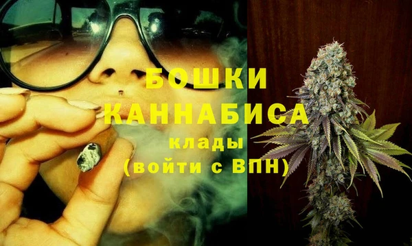 прущая мука Вяземский