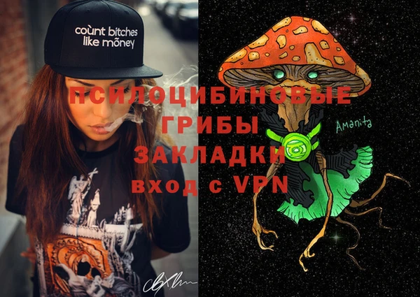 ГАЛЛЮЦИНОГЕННЫЕ ГРИБЫ Вязьма