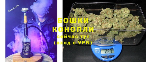 мдпв Волосово